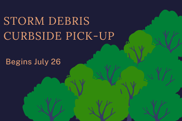 Storm Debris Cleanup